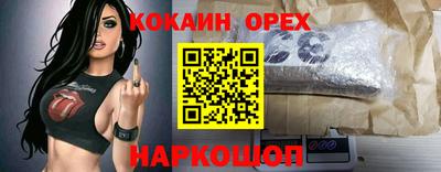 трава Кимры