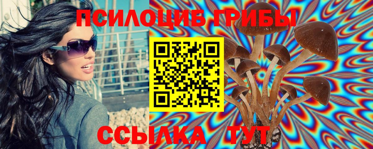 Чехов  Псилоцибиновые грибы мухоморы  Вход с VPN 